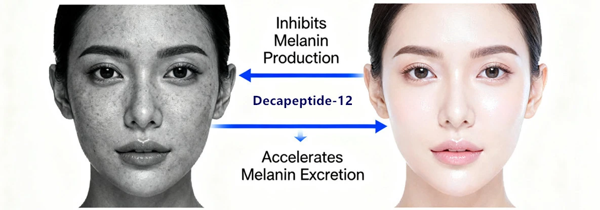 Decapeptide-12 effects Decapeptide-12 effects