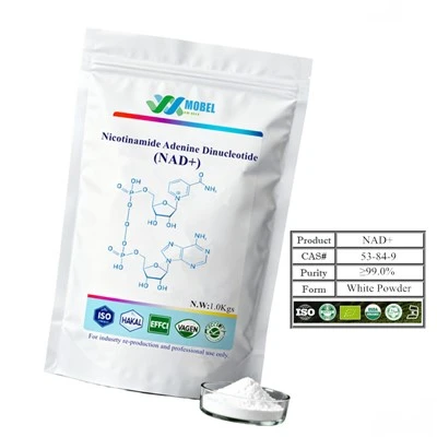 Nikótínamíð Adenín Dinucleotide